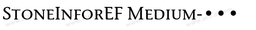 StoneInforEF Medium字体转换